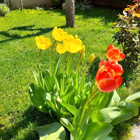 Green Garden تبليسي المظهر الخارجي الصورة