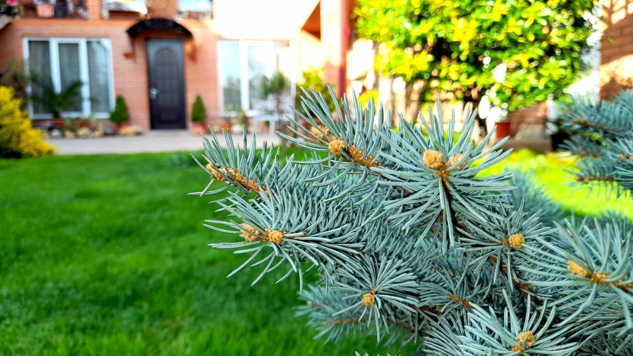 Green Garden تبليسي المظهر الخارجي الصورة