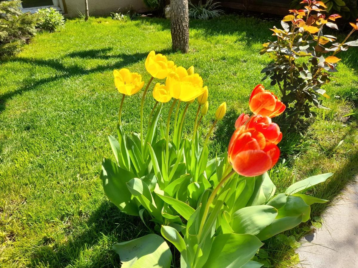 Green Garden تبليسي المظهر الخارجي الصورة