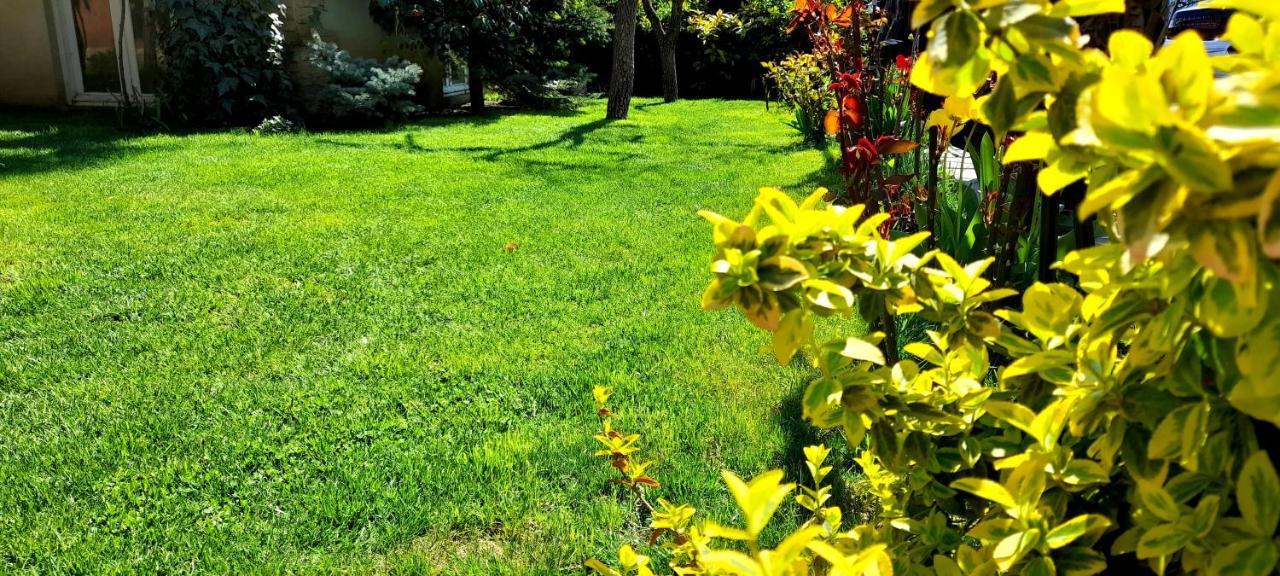 Green Garden تبليسي المظهر الخارجي الصورة