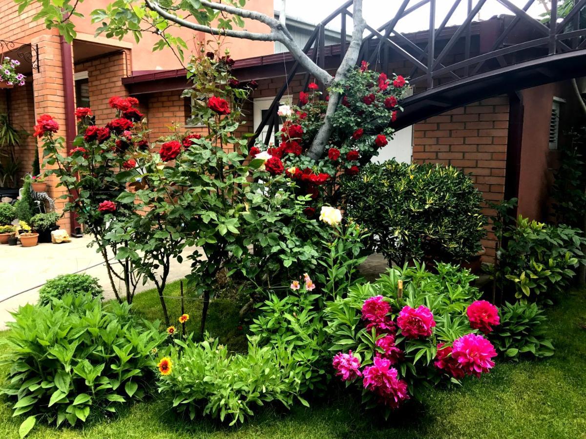 Green Garden تبليسي المظهر الخارجي الصورة