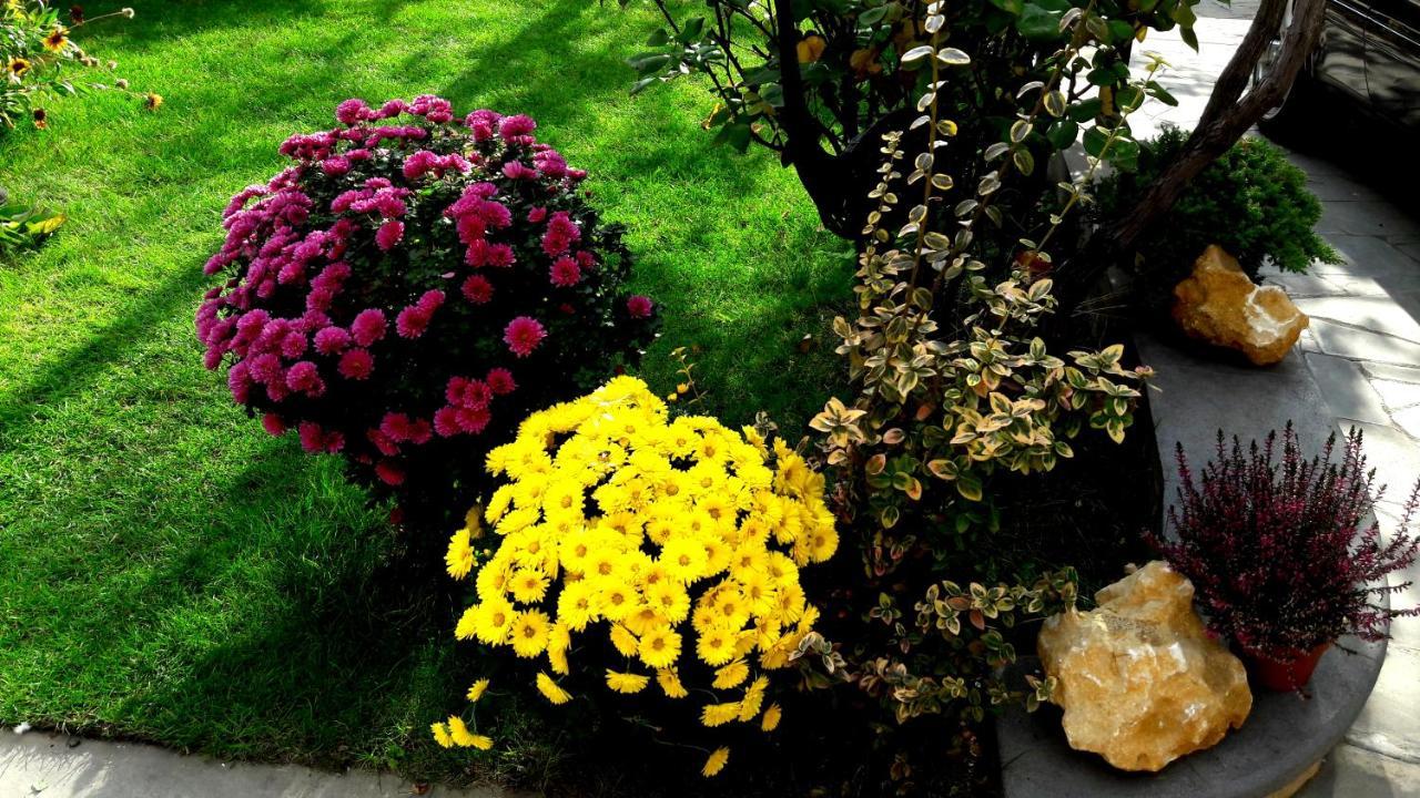 Green Garden تبليسي المظهر الخارجي الصورة