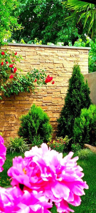 Green Garden تبليسي المظهر الخارجي الصورة